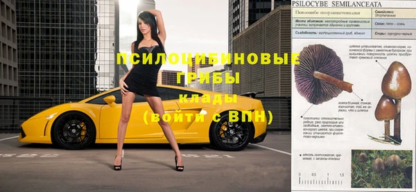 индика Алексеевка