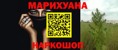 крисы Сланцы