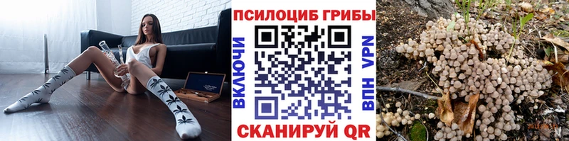продажа наркотиков  Светлоград  Псилоцибиновые грибы прущие грибы 