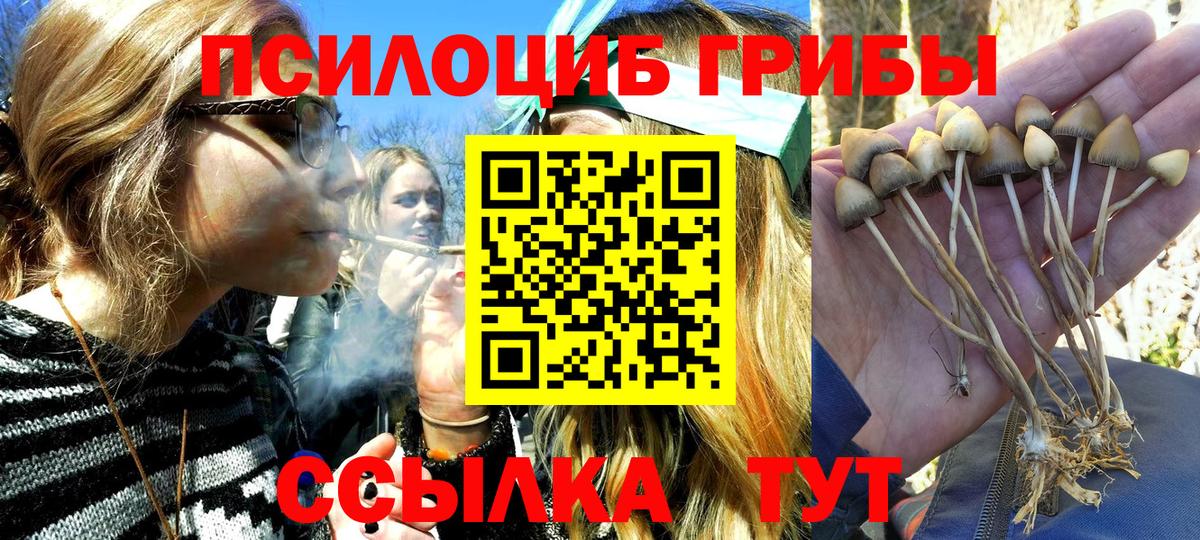 Галлюциногенные грибы Magic Shrooms  Вход с VPN  наркотики  Светлоград 